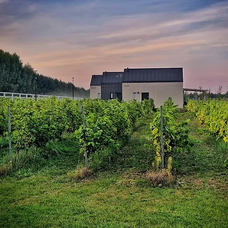 Domkitomki, Winnica Sindaco Biskupice  Exterior photo
