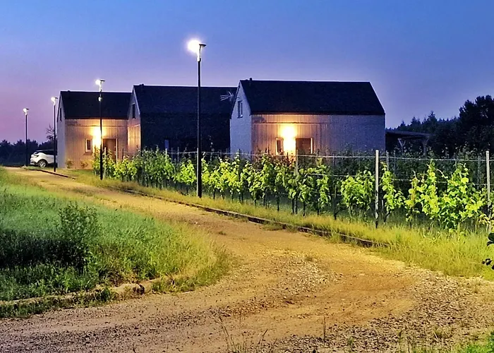Domkitomki, Winnica Sindaco