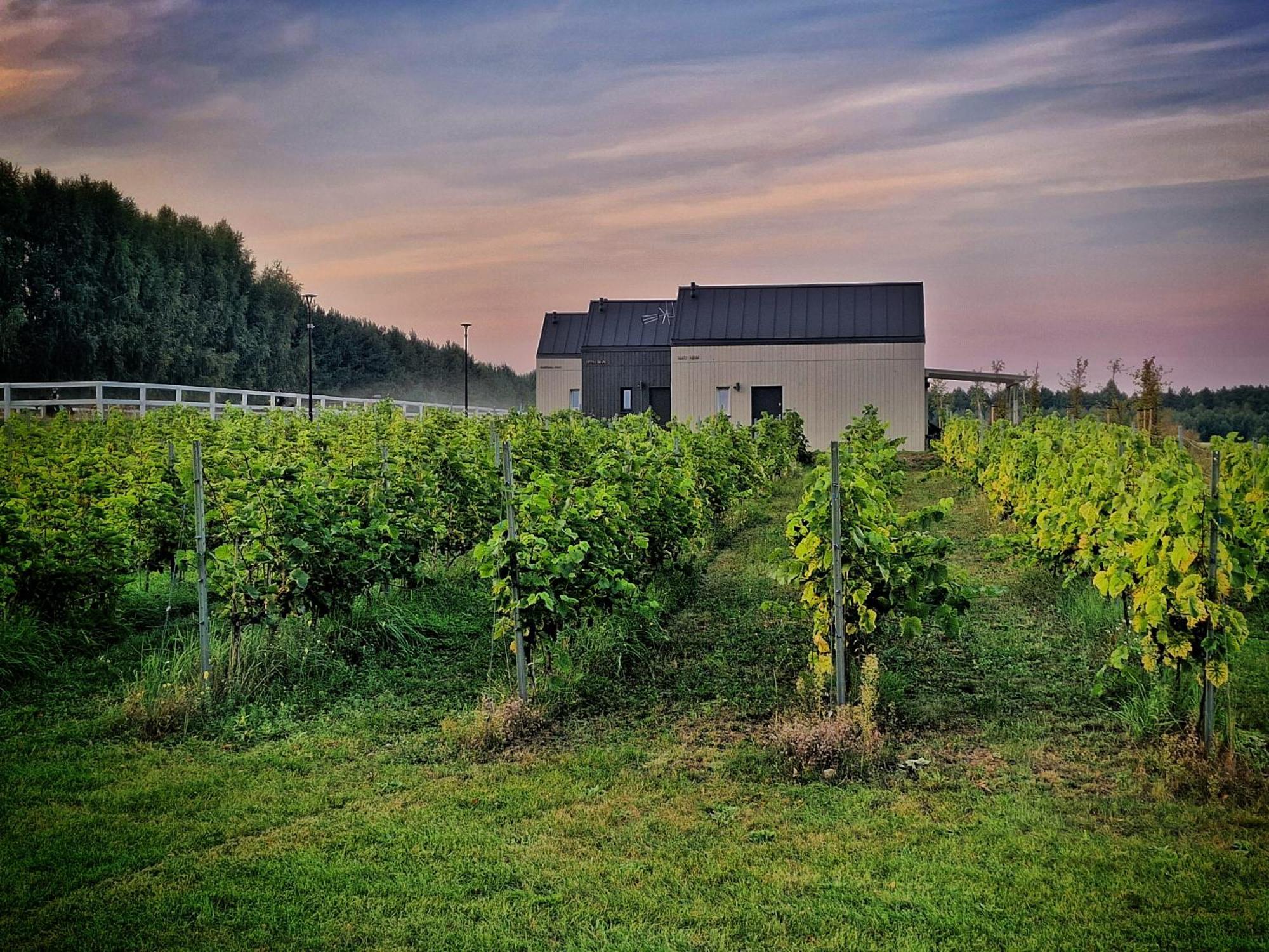 Domkitomki, Winnica Sindaco Holiday home