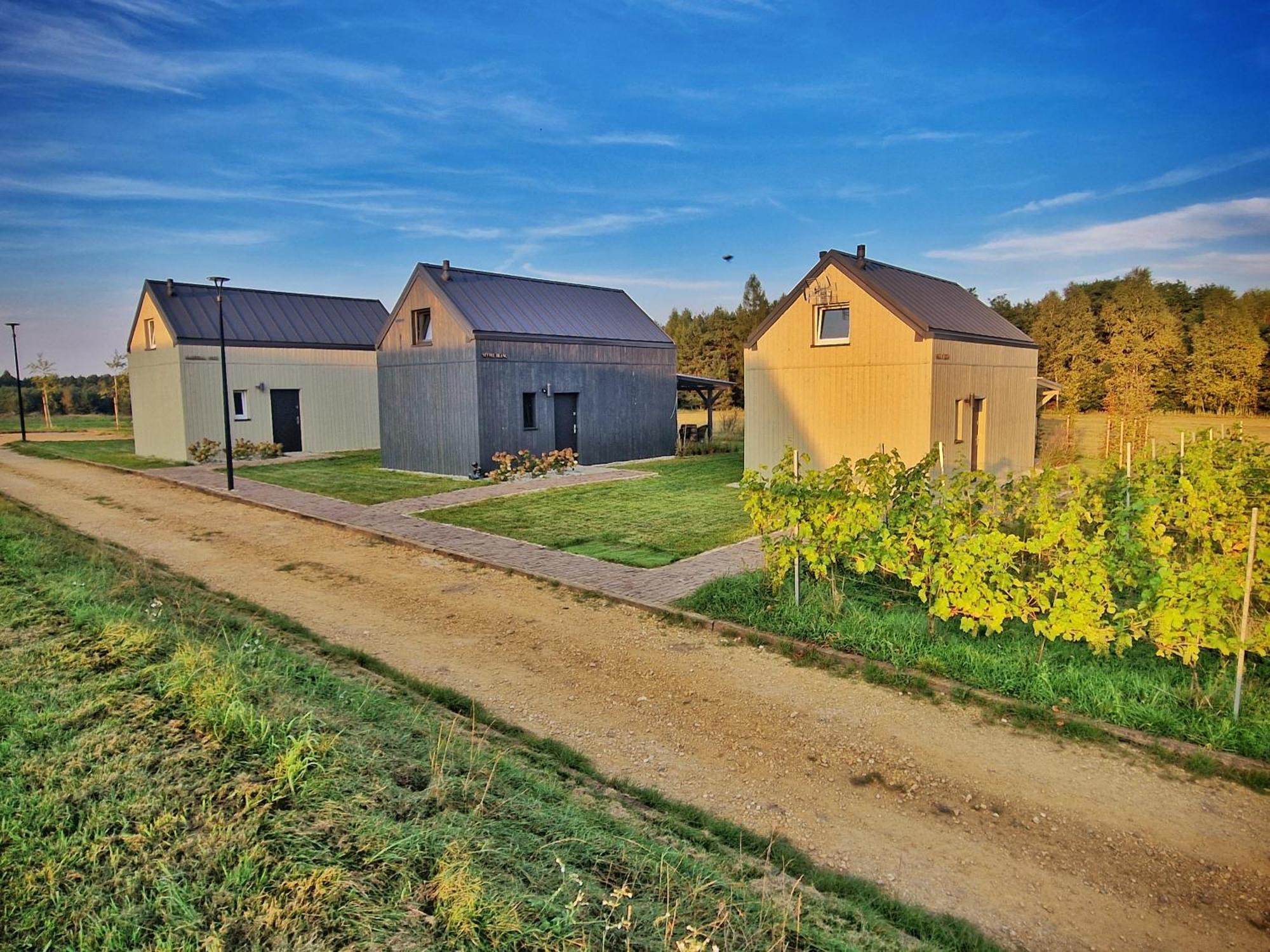 Domkitomki, Winnica Sindaco Holiday home *