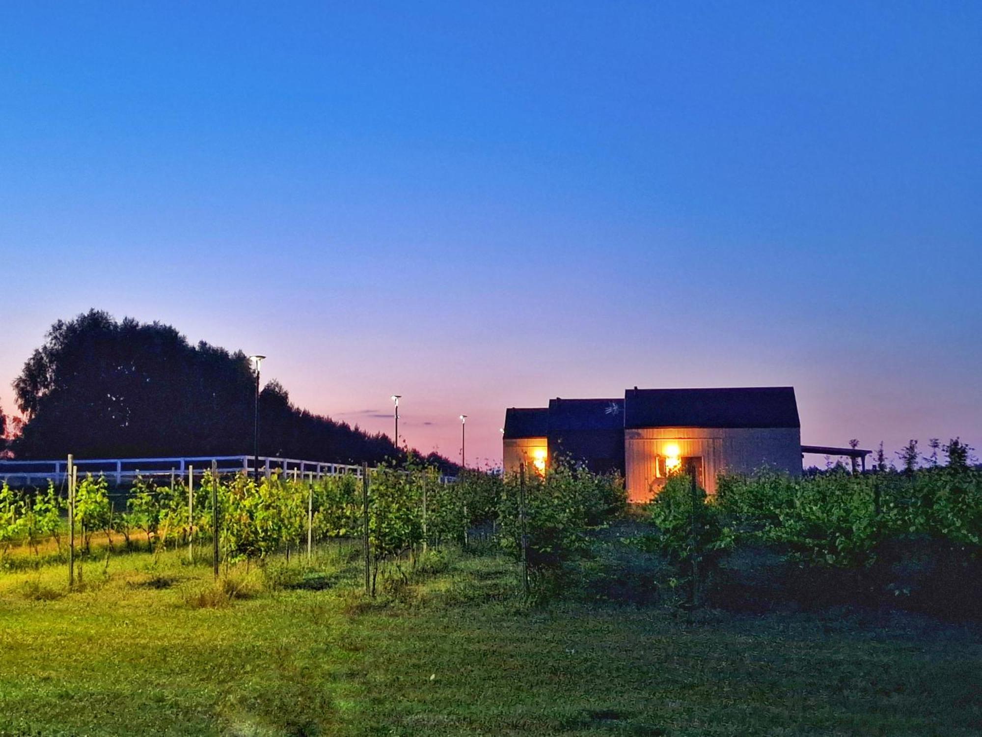 Domkitomki, Winnica Sindaco Holiday home *
