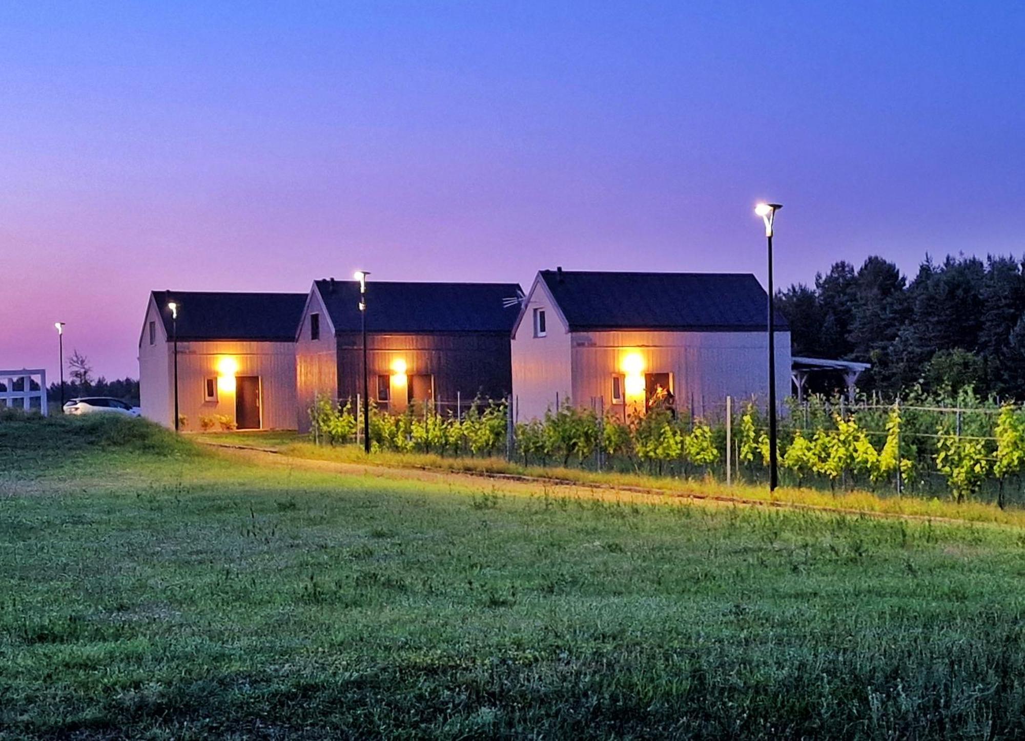 Domkitomki, Winnica Sindaco * Biskupice (Czestochowa)