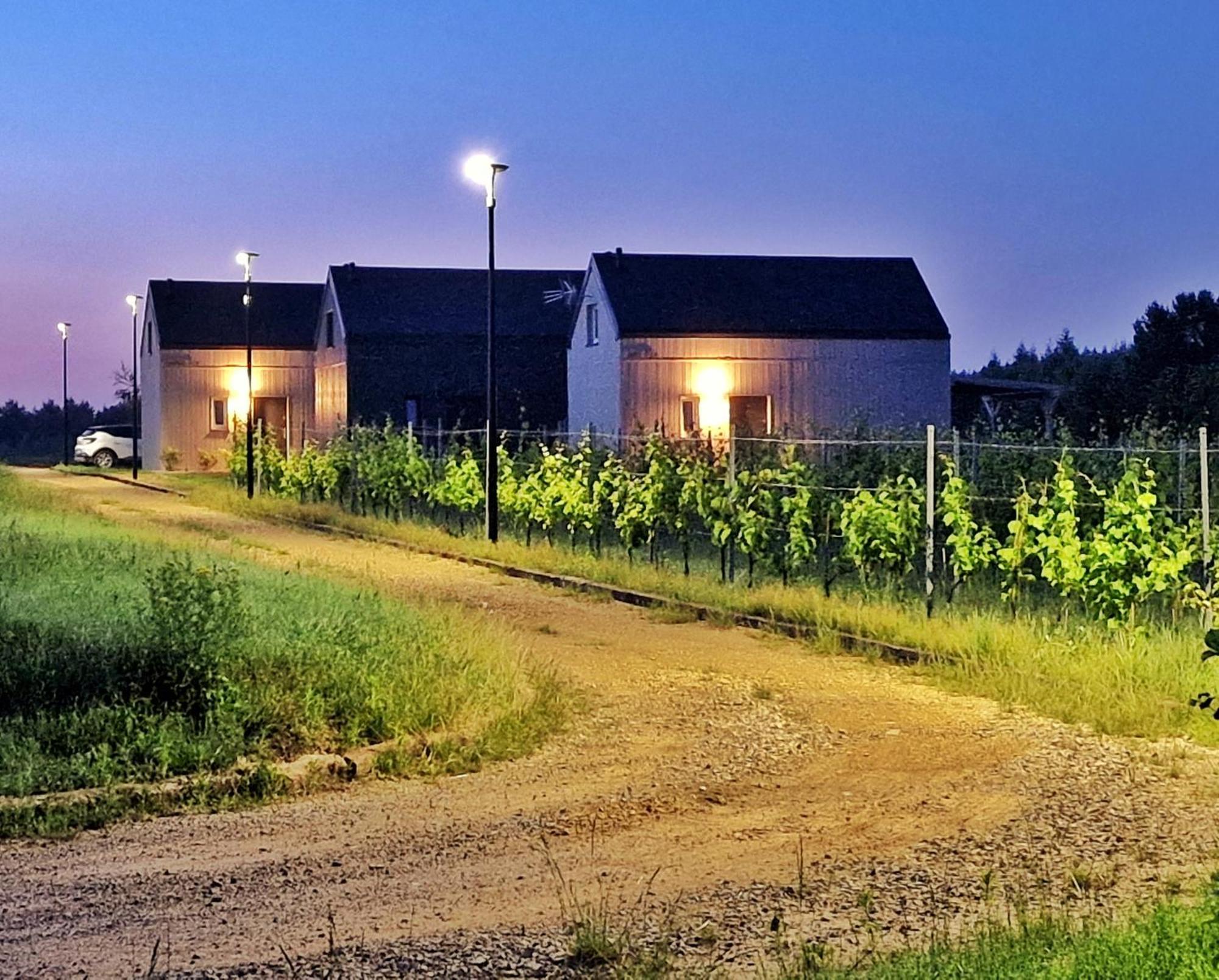 Domkitomki, Winnica Sindaco Biskupice (Czestochowa)