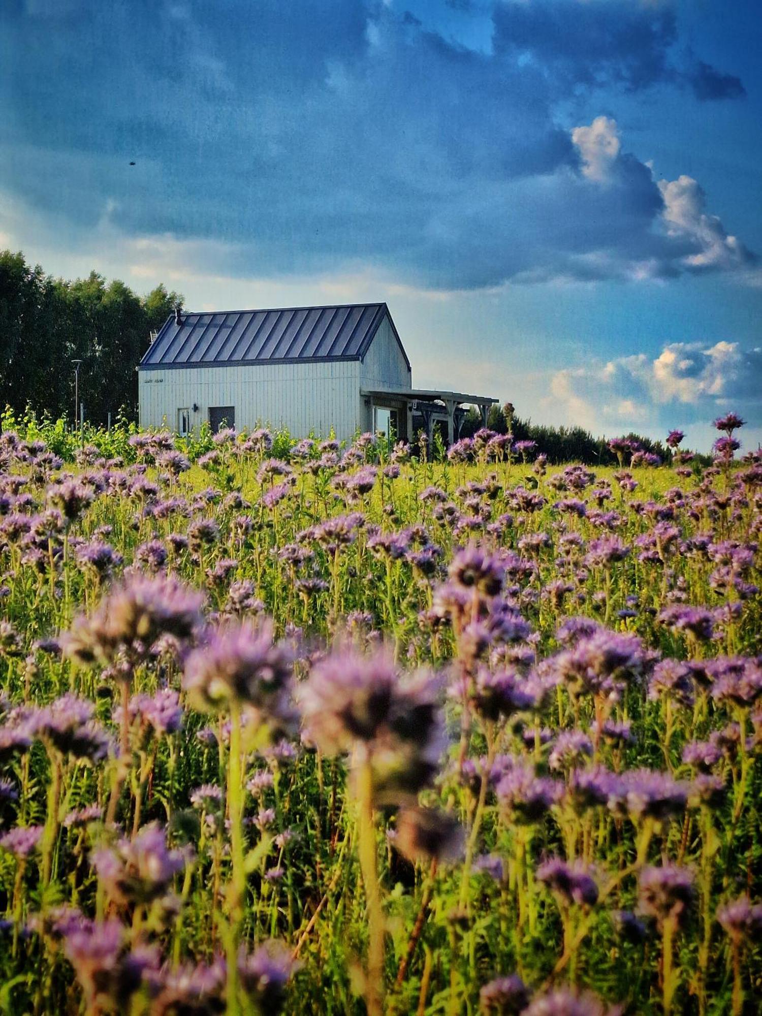 Holiday home Domkitomki, Winnica Sindaco *